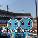 31140-8-28-9 | 라이온즈파크 삼성 vs 롯데 개막전 원정응원석 1-4 9열 꿀팁 후기