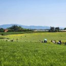 스포츠타운 화장실 이미지