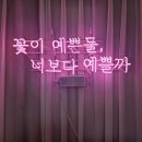 미정뷰티 | 강남속눈썹 이화뷰티랩 후기 (구 달변브로우랩)