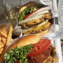 더블스택 | 쉐이크쉑 쉑스택 빅쉑 세트 내돈내산 후기