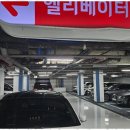 행정사사무소진정 이미지