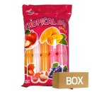 트로피칼 이미지