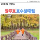 대통령기록관건너편녹지 | 광주 가을 산책 명소 광주호호수생태원