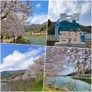 동구리 저수지 위 공원 | 전남 화순가볼만한곳 벚꽃명소 동구리호수공원 주차장 여행