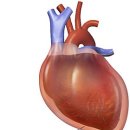 오뜨동물의료센터 이미지