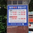 영도 오쓰짐 | 까치복 지리를 먹다. (+부산 영도 맛집 추천, ★강추 존맛, 솔직후기, 현지인 추천 복국 맛집, 부산...