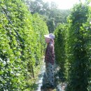 광준농장 이미지