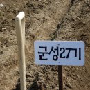 김재술농장 Daum카페