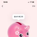 꽃돼지 - 나주시 대호길 59-20 | 꽃돼지