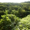 금산면2 이미지