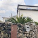 저지돌담민박 | &lt;제주 서쪽 숙소 추천&gt; 조용하고 한적해서 좋은 제주도 독채 펜션, 롱스토리 민박