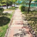 에버빌공인중개사사무소 이미지