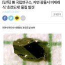 [단독] 美 국립연구소, 자연 광물서 비재래식 '초전도체' 물질 발견 이미지