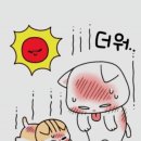 진영인테리어