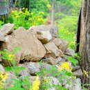 밤골 펜션 이미지