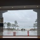 스타벅스광안리점 | 광안대교가 보이는 스타벅스 부산 광안리점 후기