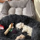 로이동물병원