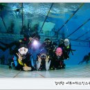 올림픽수영장 이미지