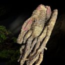 대한건재 이미지