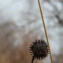 목동보건진료소 이미지