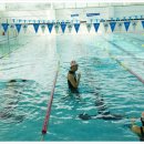 에코스포츠센터 이미지