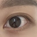 모로우네일 | 수원 영통 속눈썹 연장 모로우 래쉬 LED 펌 포인트 연장 후기