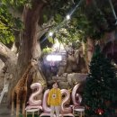 키즈랜드 | 시흥 이색카페 추천 쥬땜므 키즈랜드 방문후기