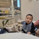 카페엔 | 대구 칠곡 | 소금빵천국 브런치카페 카페엔 방문후기