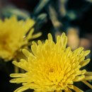 벌교삼성병원 이미지