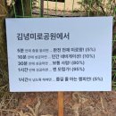 숲속에 미로 | [김녕 미로공원 제주시 구좌읍] 초록빛 숲속에서...길 찾기! 고양이들과 함께한 힐링 가득 방문 후기