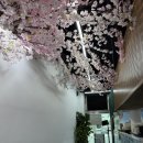 센텀고등학교 | 센텀 직장인 점심밥 추천 바로바로횟집 센텀점에서 즐긴 물회와 회정식 후기