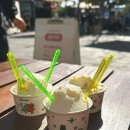 [덕계]힐링 동화일러스트 | 강릉 순두부젤라또 맛집 카페동화, 동화가든 본점 앞 귀여운 고양이들과