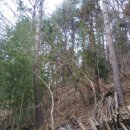 연담농장 이미지