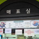 아리랑 태권도 | 제주투어패스 코스추천 제주아리랑 태권도쇼 비 오는 날 만3세 아이랑 다녀온 후기