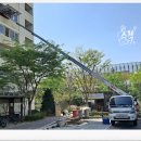 킹콩인테리어자재 이미지