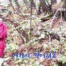 새터 여름 캠프 영상 한편 ft. 82기 새내기 새터 첫도전 이미지
