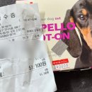 만수약국 앞 이미지