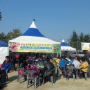 서구구민운동장 이미지