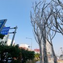 0121-1110= 이미지