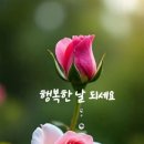 100세 건강의료기 네이버블로그
