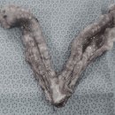 두리종합동물병원 이미지