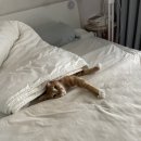 통통샤인정신건강의학과의원 | 알코올 중독과 금단 현상, 그리고 스스로를 인정하기