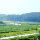 용지로-2 이미지