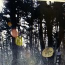 [수도권 정기도보]2016년1월23일(토)광주의 진산 무등산 옛길 2구간(무아지경길)트레킹 이미지