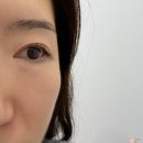 프롬들 | 강남 속눈썹펌 대만족 후기 프롬미 강남논현점