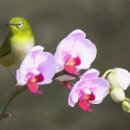 좋은생각 이미지