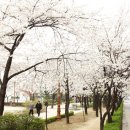 거리공원 이미지