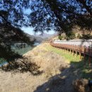 달맞이길 이미지