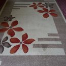 카페트세탁 스팀지니 이미지