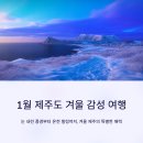 삼춘네칼국수 | 1월 제주도여행 어디 갈까? 겨울 감성 제대로 느끼는 코스 추천